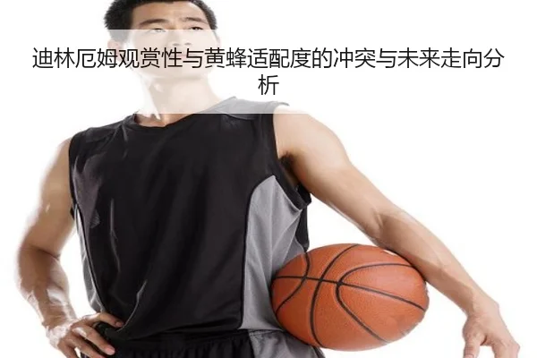 迪林厄姆观赏性与黄蜂适配度的冲突与未来走向分析
